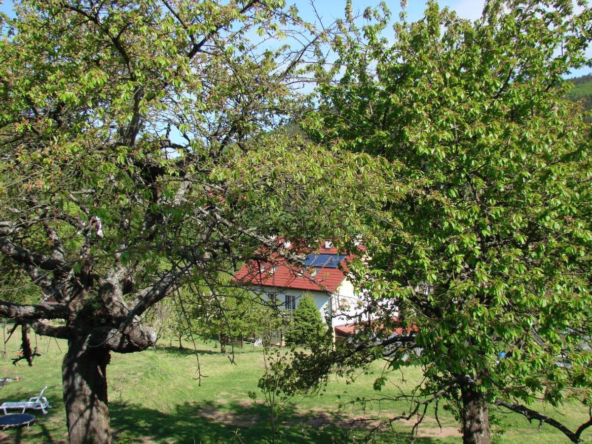 Agroturystyka Gluszyca Lomnica Lomnica  Extérieur photo